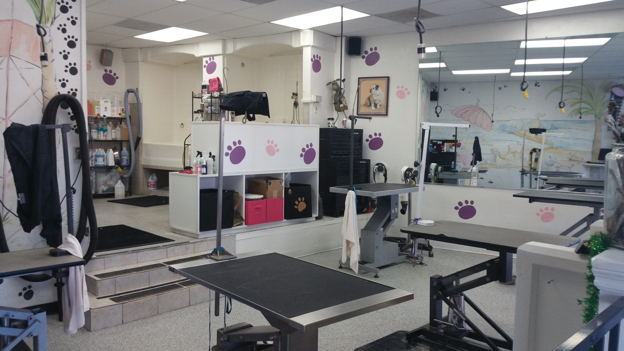 Dana Point Grooming – OC Grooming &amp; Pet Spa